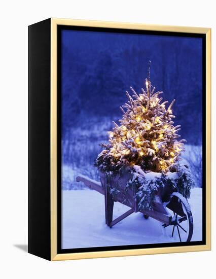 Lighted Christmas Tree in Wheelbarrow-Jim Craigmyle-Framed Premier Image Canvas