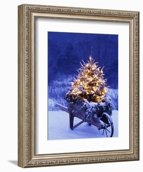 Lighted Christmas Tree in Wheelbarrow-Jim Craigmyle-Framed Premium Photographic Print