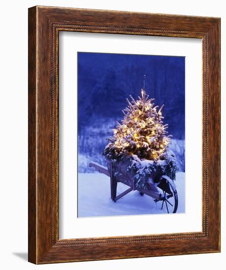 Lighted Christmas Tree in Wheelbarrow-Jim Craigmyle-Framed Premium Photographic Print