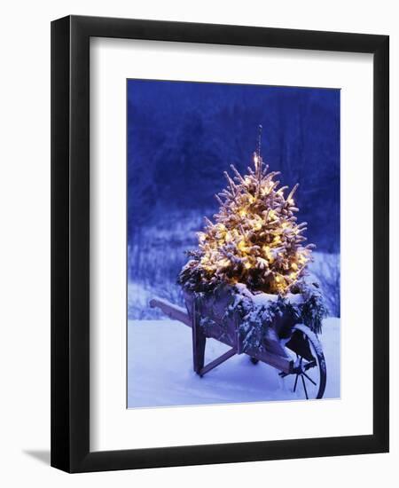 Lighted Christmas Tree in Wheelbarrow-Jim Craigmyle-Framed Photographic Print