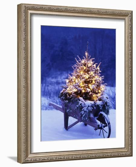 Lighted Christmas Tree in Wheelbarrow-Jim Craigmyle-Framed Photographic Print