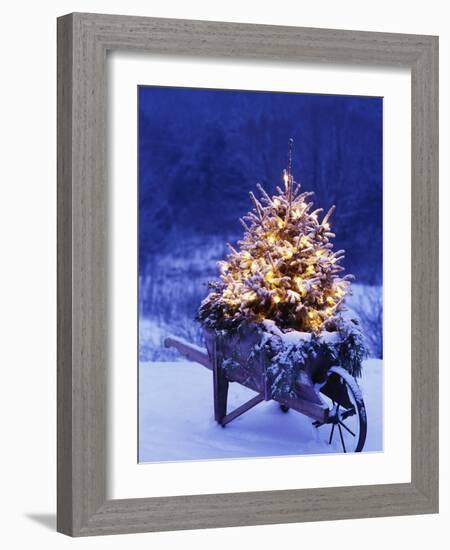 Lighted Christmas Tree in Wheelbarrow-Jim Craigmyle-Framed Photographic Print