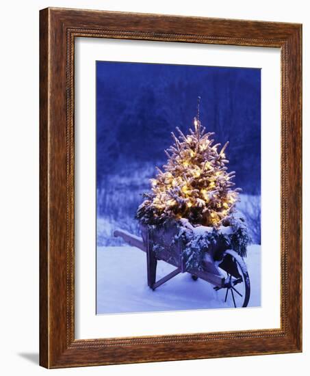 Lighted Christmas Tree in Wheelbarrow-Jim Craigmyle-Framed Photographic Print