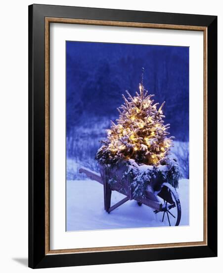 Lighted Christmas Tree in Wheelbarrow-Jim Craigmyle-Framed Photographic Print