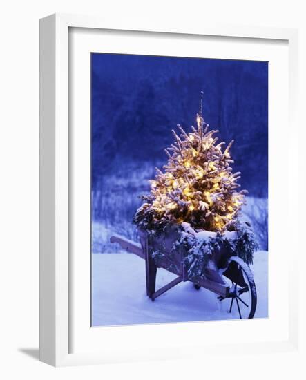 Lighted Christmas Tree in Wheelbarrow-Jim Craigmyle-Framed Photographic Print