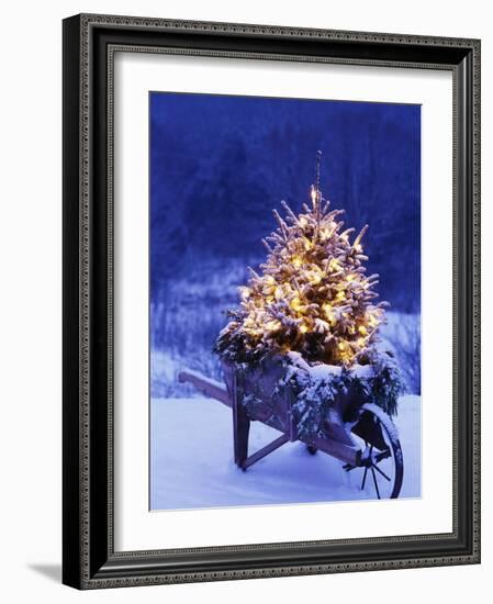 Lighted Christmas Tree in Wheelbarrow-Jim Craigmyle-Framed Photographic Print