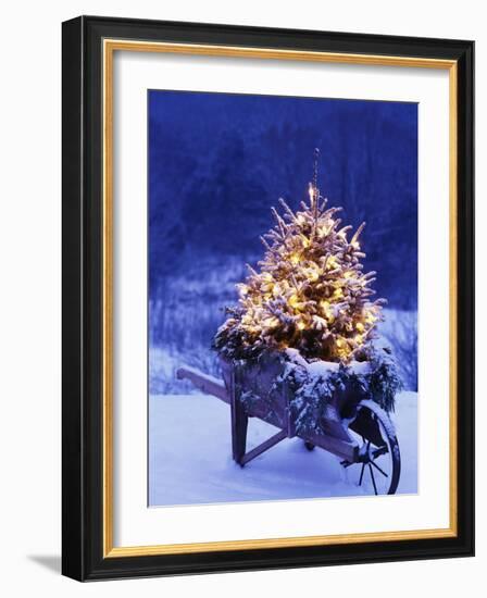 Lighted Christmas Tree in Wheelbarrow-Jim Craigmyle-Framed Photographic Print