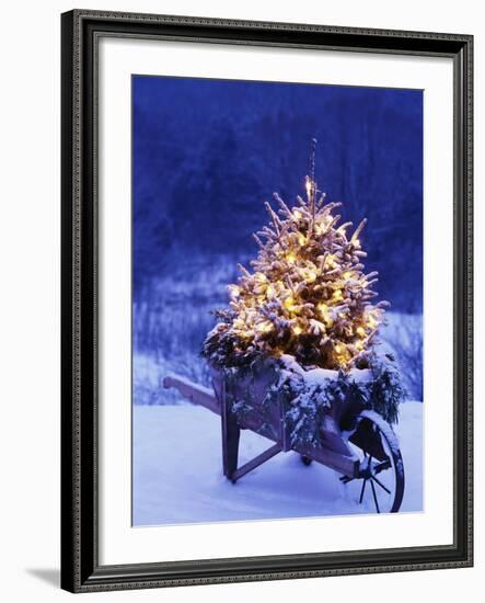 Lighted Christmas Tree in Wheelbarrow-Jim Craigmyle-Framed Photographic Print