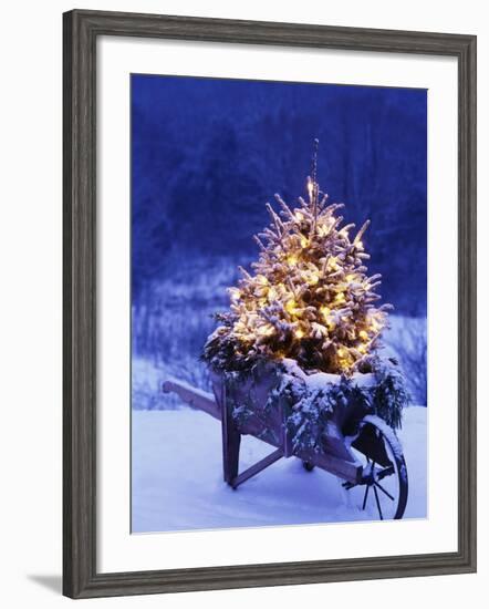 Lighted Christmas Tree in Wheelbarrow-Jim Craigmyle-Framed Photographic Print