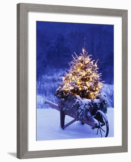 Lighted Christmas Tree in Wheelbarrow-Jim Craigmyle-Framed Photographic Print