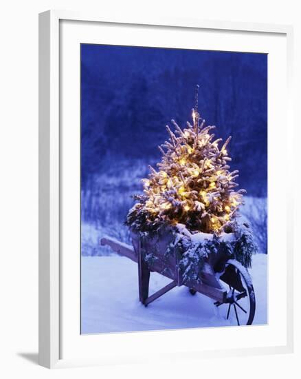 Lighted Christmas Tree in Wheelbarrow-Jim Craigmyle-Framed Photographic Print