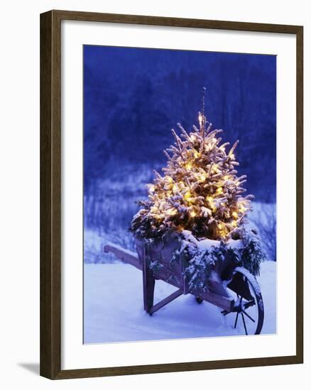 Lighted Christmas Tree in Wheelbarrow-Jim Craigmyle-Framed Photographic Print