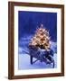 Lighted Christmas Tree in Wheelbarrow-Jim Craigmyle-Framed Photographic Print