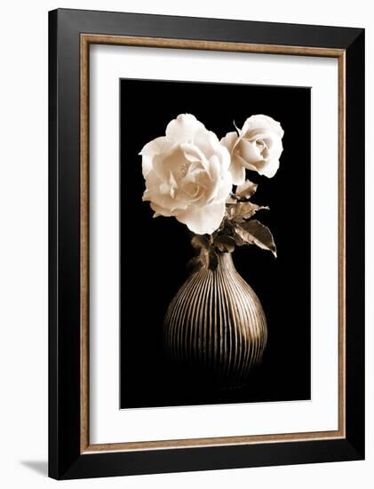 Lighted White Roses-Christine Zalewski-Framed Art Print