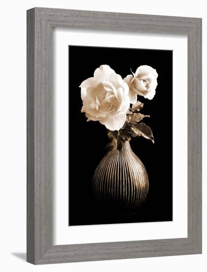 Lighted White Roses-Christine Zalewski-Framed Art Print