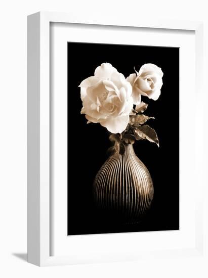 Lighted White Roses-Christine Zalewski-Framed Art Print