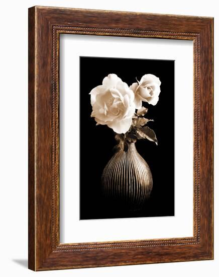 Lighted White Roses-Christine Zalewski-Framed Art Print