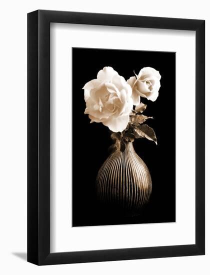 Lighted White Roses-Christine Zalewski-Framed Art Print