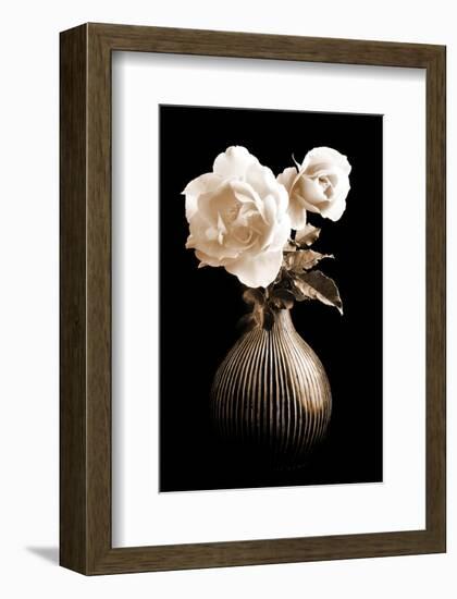 Lighted White Roses-Christine Zalewski-Framed Art Print