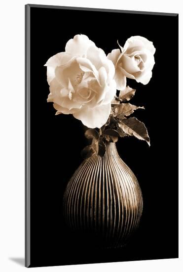 Lighted White Roses-Christine Zalewski-Mounted Art Print