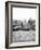 Lighters Passing St Paul's Wharf with St Paul's Cathedral in the Background, London, C1905-null-Framed Photographic Print