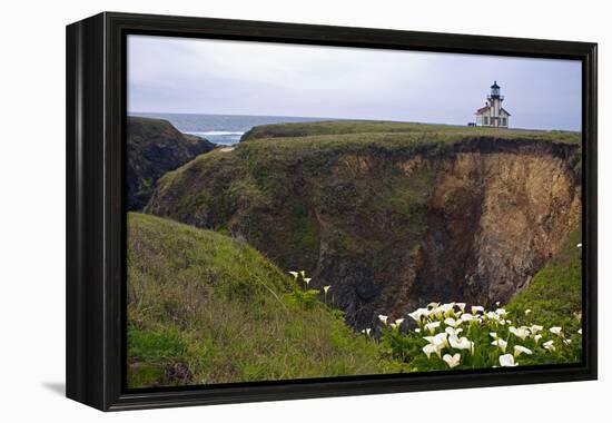 Lighthouse and Lilies, Point Cabrillo, Mendocino-George Oze-Framed Premier Image Canvas