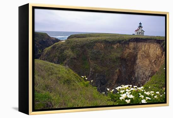 Lighthouse and Lilies, Point Cabrillo, Mendocino-George Oze-Framed Premier Image Canvas