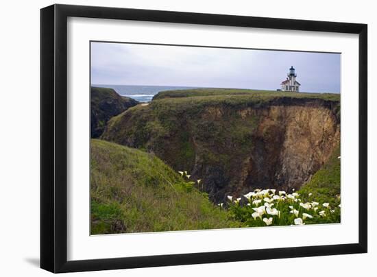 Lighthouse and Lilies, Point Cabrillo, Mendocino-George Oze-Framed Photographic Print
