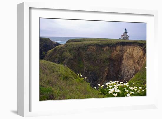 Lighthouse and Lilies, Point Cabrillo, Mendocino-George Oze-Framed Photographic Print