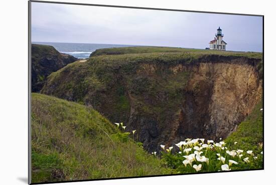 Lighthouse and Lilies, Point Cabrillo, Mendocino-George Oze-Mounted Photographic Print