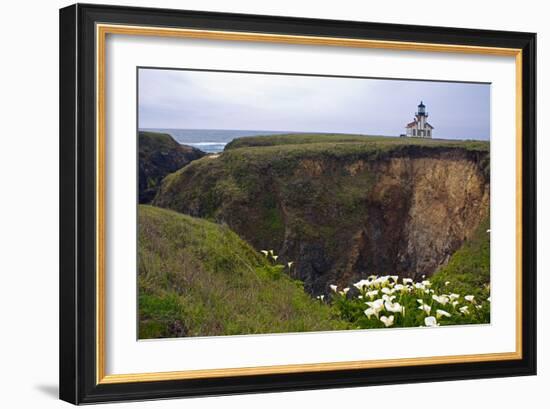 Lighthouse and Lilies, Point Cabrillo, Mendocino-George Oze-Framed Photographic Print