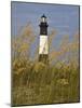 Lighthouse and Seaoats in Early Mooring, Tybee Island, Georgia, USA-Joanne Wells-Mounted Photographic Print