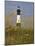 Lighthouse and Seaoats in Early Mooring, Tybee Island, Georgia, USA-Joanne Wells-Mounted Photographic Print