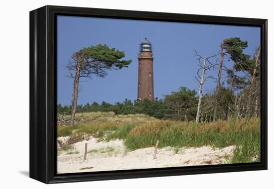 Lighthouse and Windswept Trees - Darsser Ort on the Darss Peninsula-Uwe Steffens-Framed Premier Image Canvas