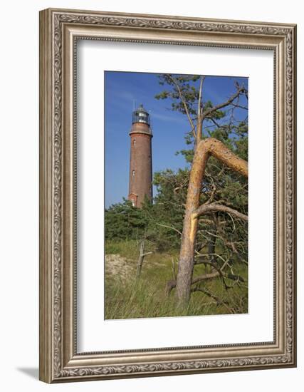 Lighthouse and Windswept Trees - Pines at the Darsser Ort Boat on the Darss Peninsula-Uwe Steffens-Framed Photographic Print