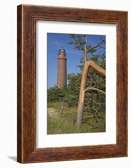 Lighthouse and Windswept Trees - Pines at the Darsser Ort Boat on the Darss Peninsula-Uwe Steffens-Framed Photographic Print