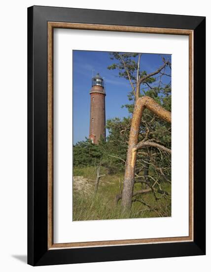 Lighthouse and Windswept Trees - Pines at the Darsser Ort Boat on the Darss Peninsula-Uwe Steffens-Framed Photographic Print