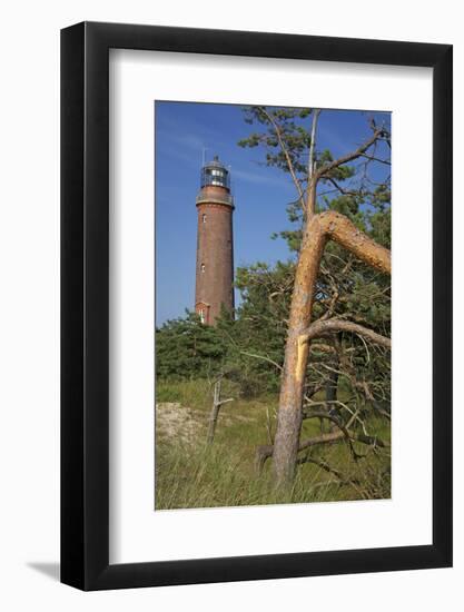 Lighthouse and Windswept Trees - Pines at the Darsser Ort Boat on the Darss Peninsula-Uwe Steffens-Framed Photographic Print