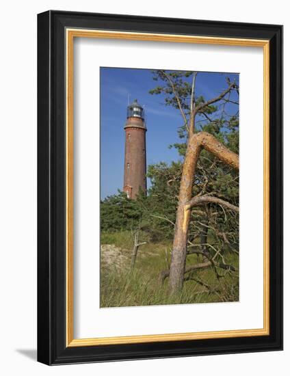 Lighthouse and Windswept Trees - Pines at the Darsser Ort Boat on the Darss Peninsula-Uwe Steffens-Framed Photographic Print