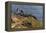 Lighthouse at Point Reyes National Seashore. California, USA-Chuck Haney-Framed Premier Image Canvas