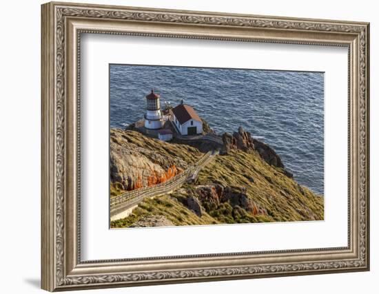 Lighthouse at Point Reyes National Seashore. California, USA-Chuck Haney-Framed Photographic Print