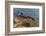 Lighthouse at Point Reyes National Seashore. California, USA-Chuck Haney-Framed Photographic Print