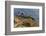 Lighthouse at Point Reyes National Seashore. California, USA-Chuck Haney-Framed Photographic Print