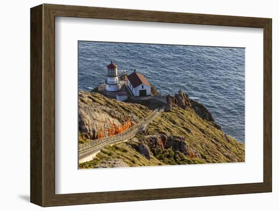 Lighthouse at Point Reyes National Seashore. California, USA-Chuck Haney-Framed Photographic Print