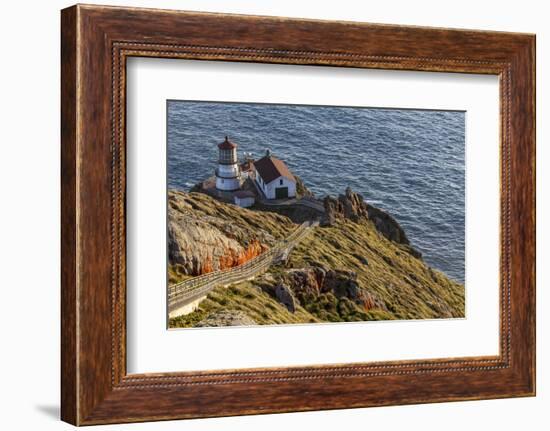 Lighthouse at Point Reyes National Seashore. California, USA-Chuck Haney-Framed Photographic Print