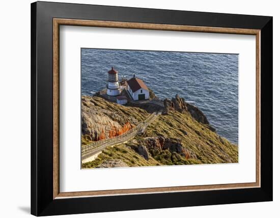 Lighthouse at Point Reyes National Seashore. California, USA-Chuck Haney-Framed Photographic Print