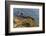 Lighthouse at Point Reyes National Seashore. California, USA-Chuck Haney-Framed Photographic Print