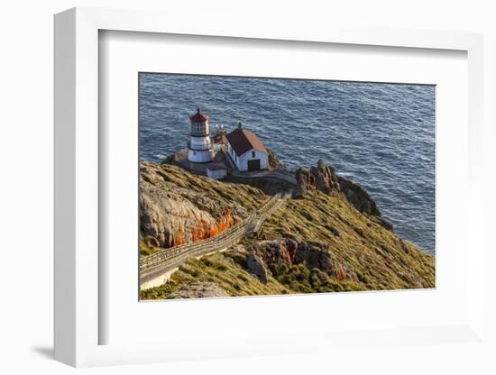 Lighthouse at Point Reyes National Seashore. California, USA-Chuck Haney-Framed Photographic Print