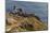 Lighthouse at Point Reyes National Seashore. California, USA-Chuck Haney-Mounted Photographic Print