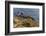 Lighthouse at Point Reyes National Seashore. California, USA-Chuck Haney-Framed Photographic Print